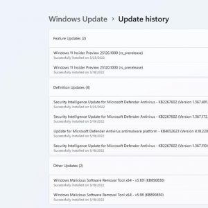 Windows 11 Insider Preview Build 25126