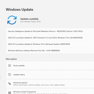 microsoft windows security updates may 2022