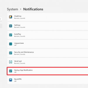 windows 11 startup app notifications