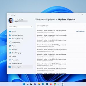 Windows 11 Insider Preview Build 25231