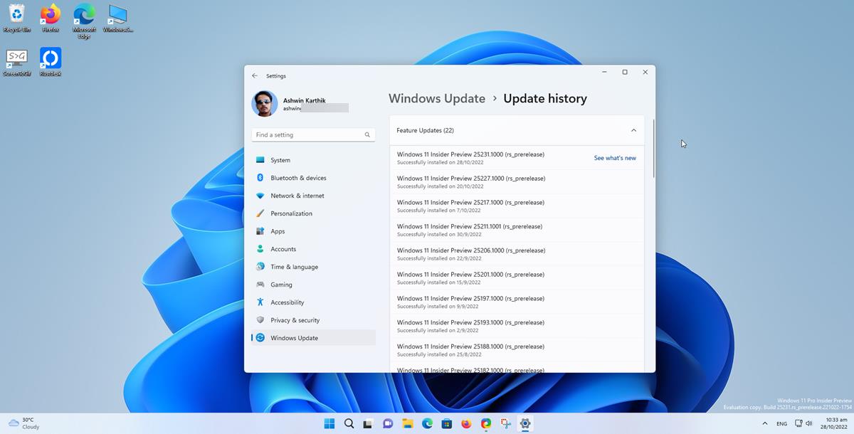 Windows 11 Insider Preview Build 25231