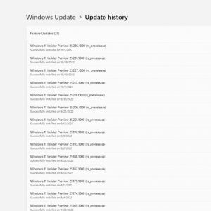 Windows 11 Insider Preview Build 25236