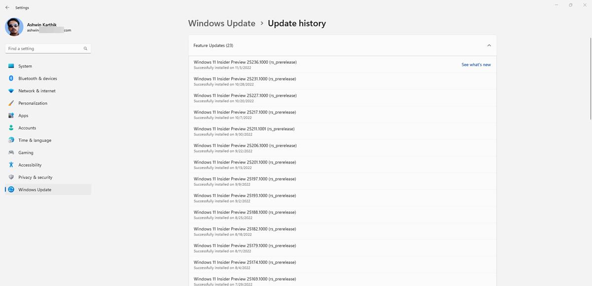 Windows 11 Insider Preview Build 25236