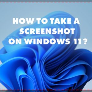 How To Take a Screenshot on Windows 11