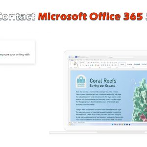 How to Contact Microsoft Office 365 Support