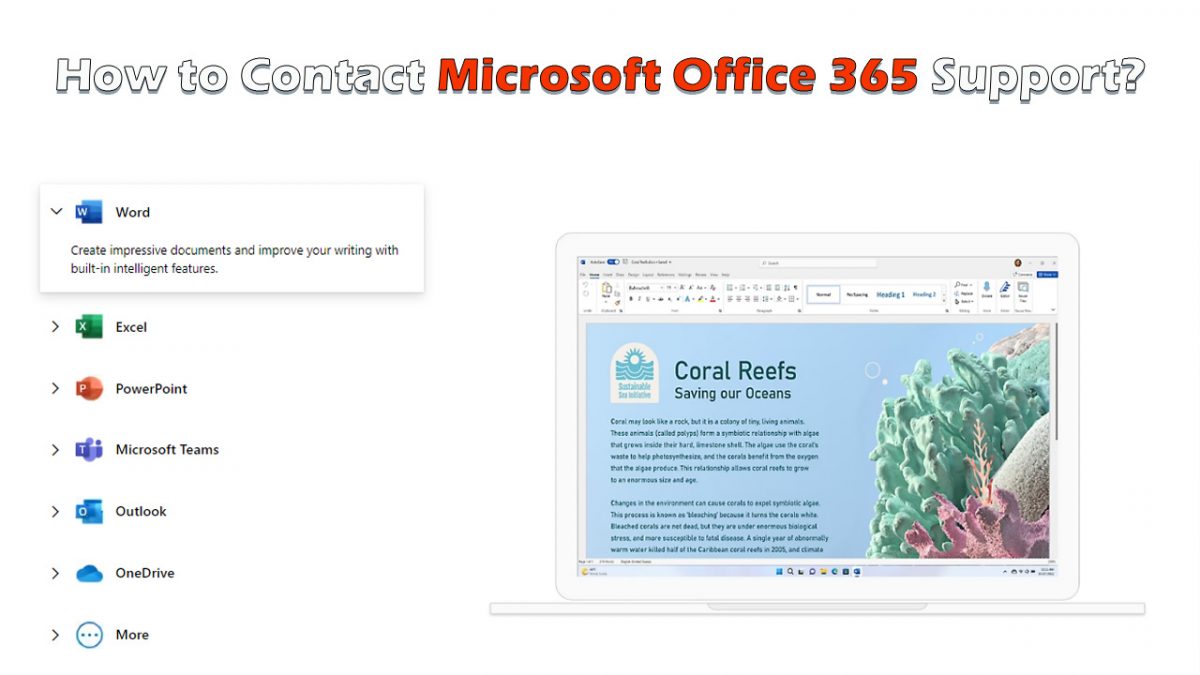 How to Contact Microsoft Office 365 Support