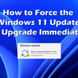 How to Force the Windows 11 Update and Upgrade Immediately