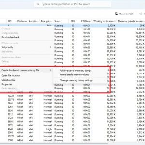 Live kernel memory dumps in Windows 11 Preview Build 25276in Task Manager