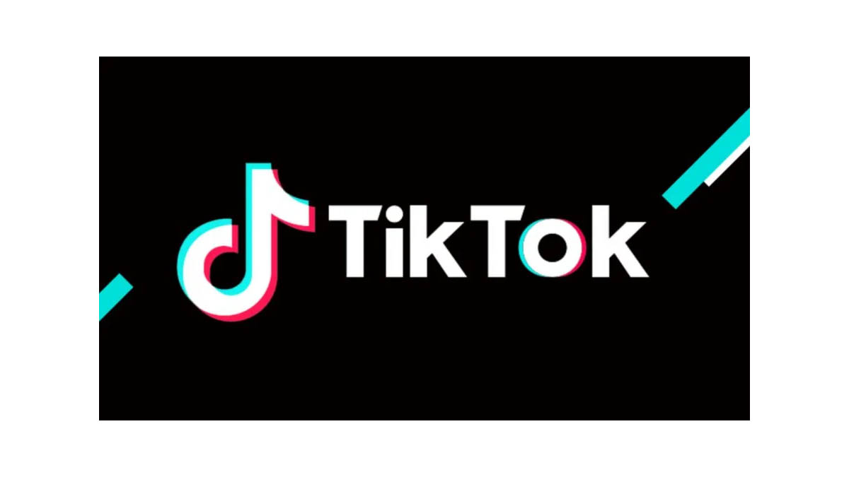 TikTok Search