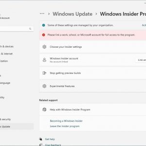 Windows 11 Insider Program could get an Experimental Features section in the Settings app