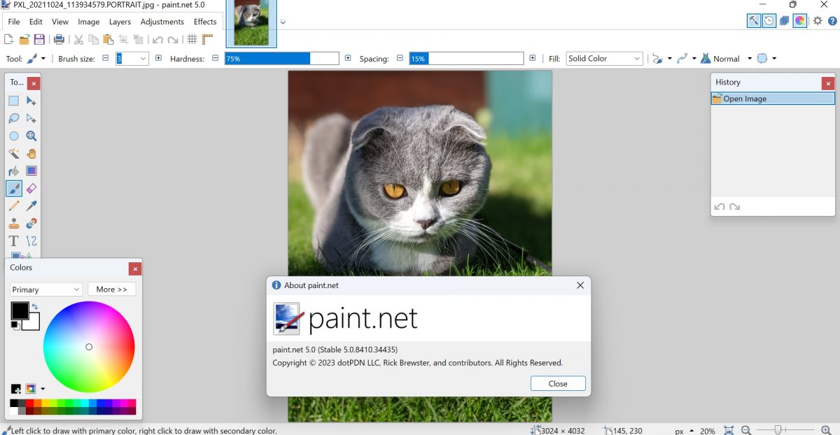 paint.net 5.0