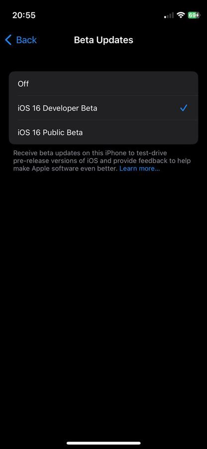 iOS 16.4 beta opt-in settings
