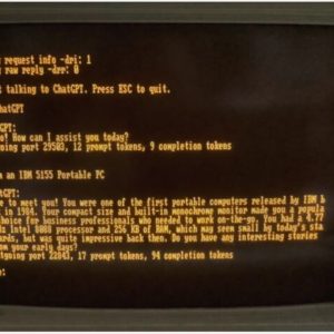 Chat-GPT arrives on a vintage MS-DOS 1984 IBM PC