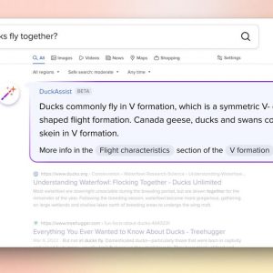 DuckDuckGo launches DuckAssist