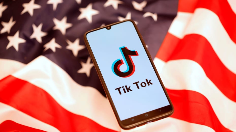 Which countries have banned TikTok and why?