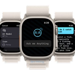Introducing Petey: Accessing ChatGPT on Your Apple Watch