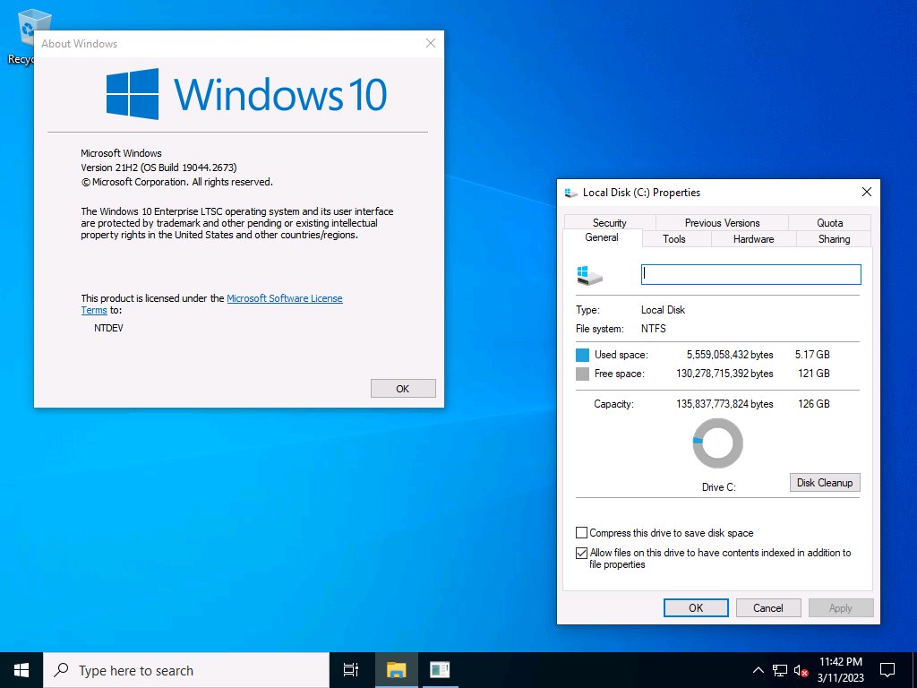 Download Tiny11 1.0 for Windows 