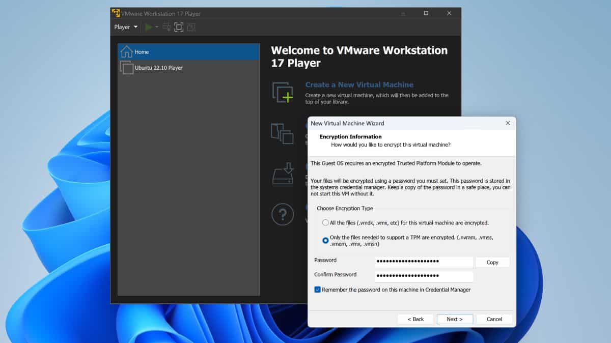 If you want to learn more about how to install Windows 11 in VMware Workstation, you are at the right place!