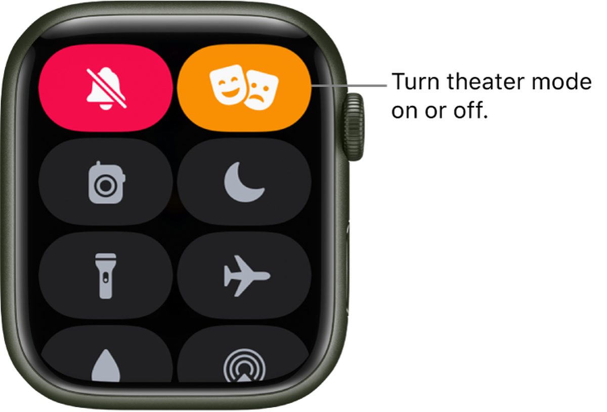 How to silence Apple Watch?