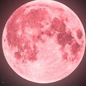 Pink Moon 2023: Date, Meaning, and Other Celestial Highlights