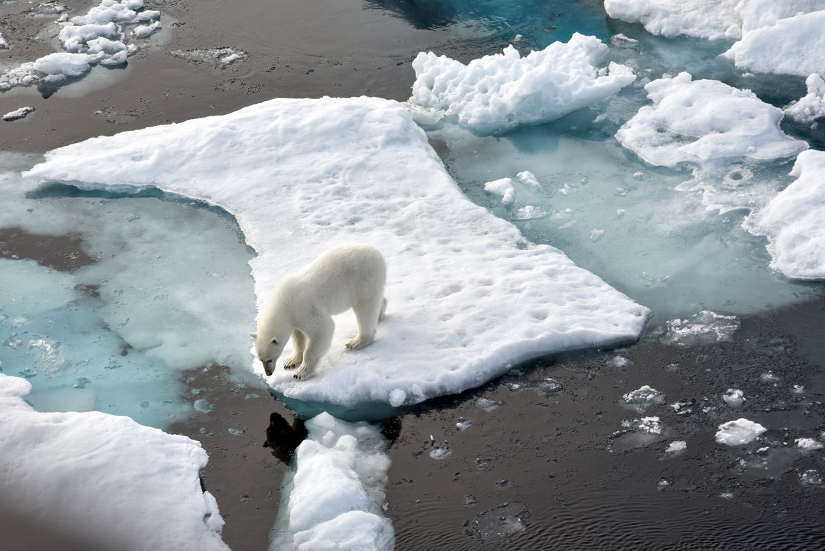 Climate change is one of the biggest threats to the future of the world, and if we can implement more green technology, we might overcome it!