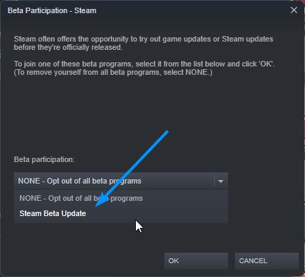 how to install steam beta on your pc