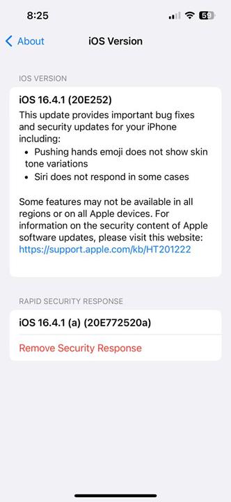 Come disinstallare gli aggiornamenti di Rapid Security Response su iOS