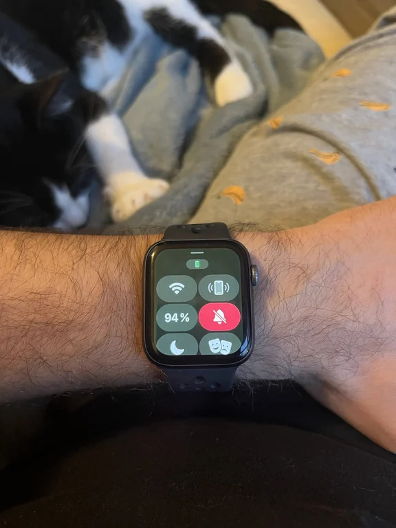 green tint issue in watchOS 9.5 affects Apple Watch