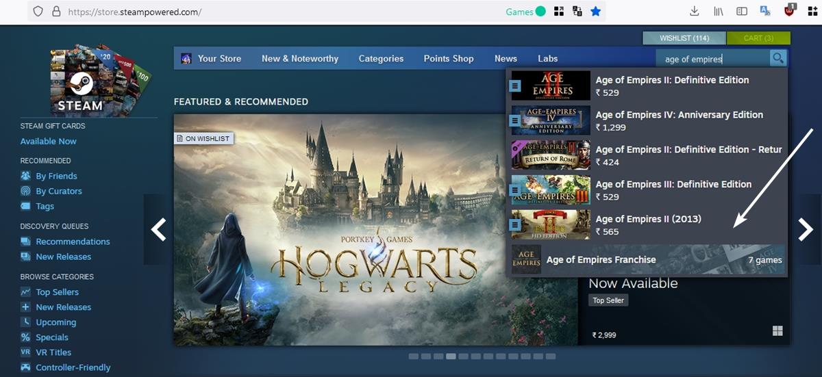 steam search bar find game franchises, developers and publishers
