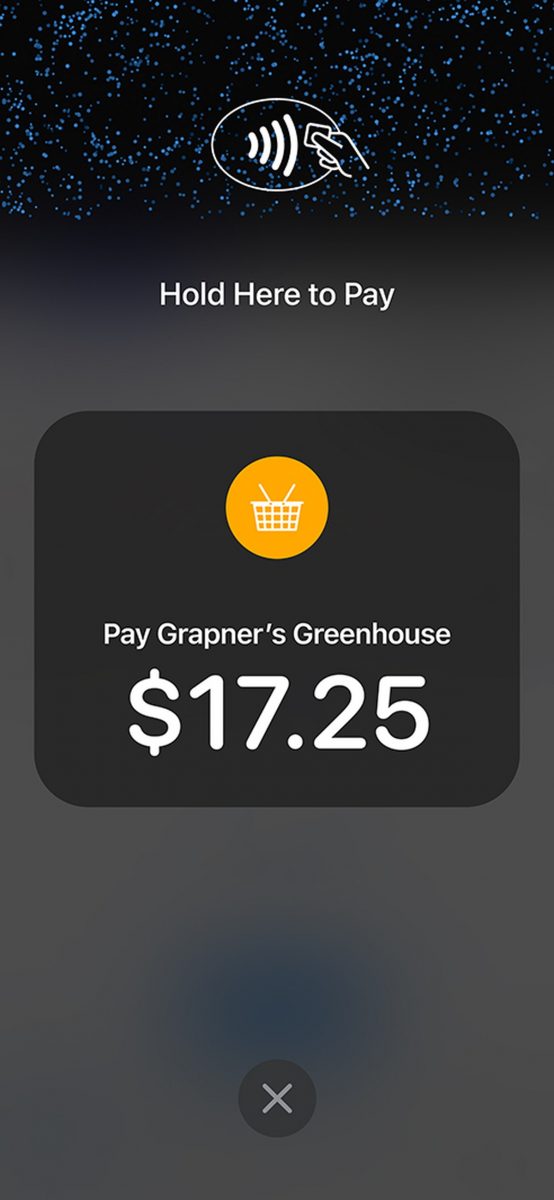Come usare Apple Pay su iPhone