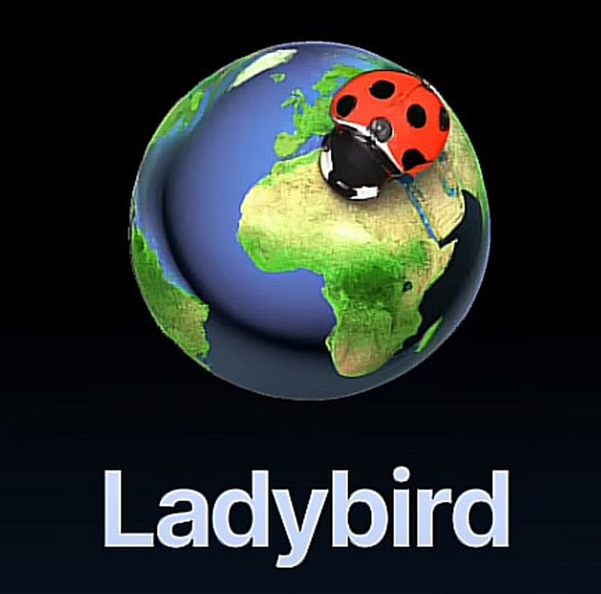 Ladybird browser