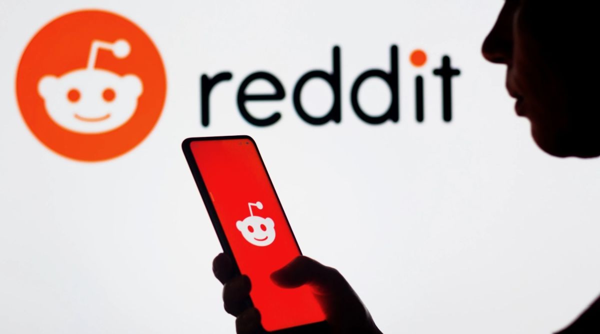 reddit api protest