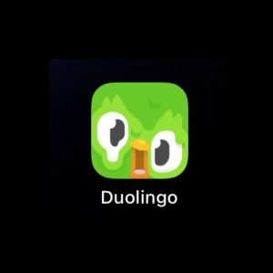 Melting Duolingo app icon