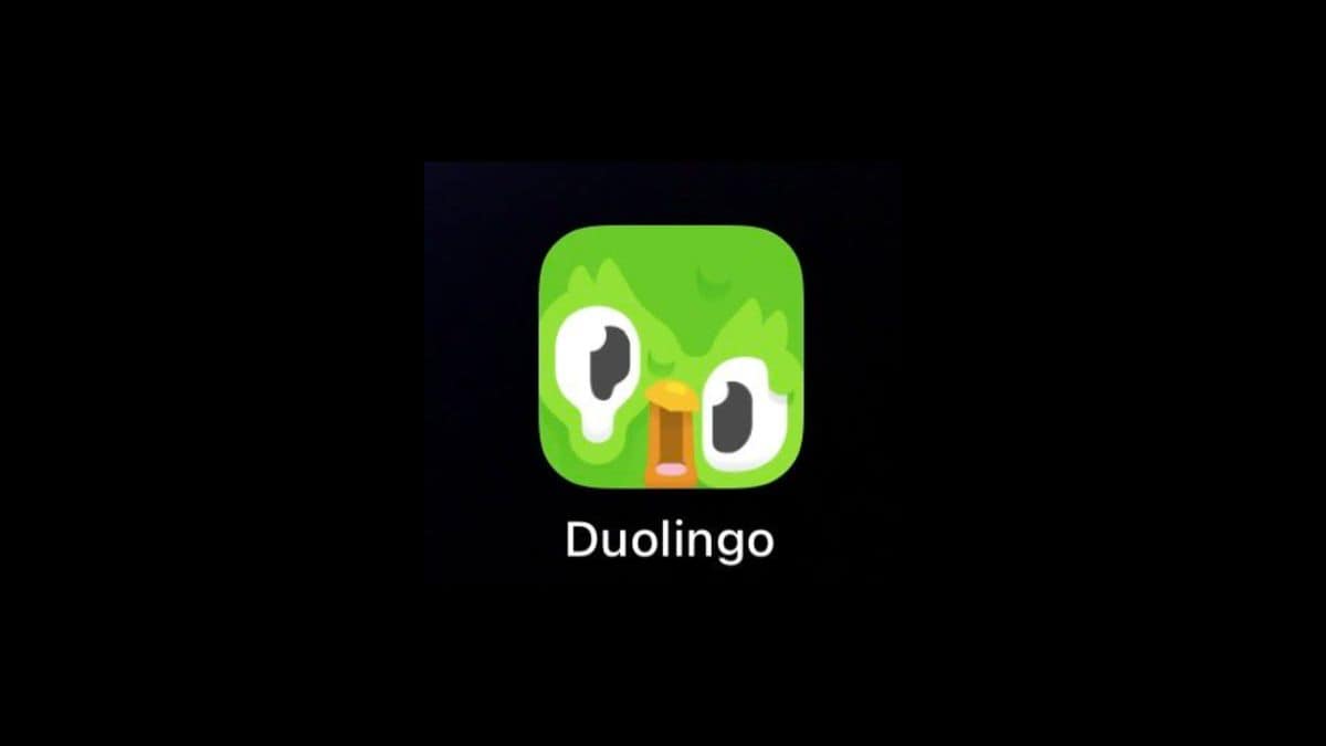 Melting Duolingo app icon