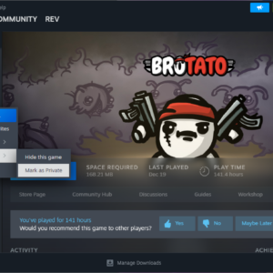 Steam mark game as private to hide from friends