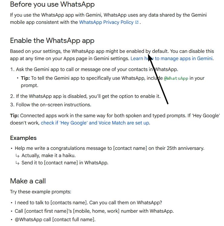 Gemini WhatsApp privacy
