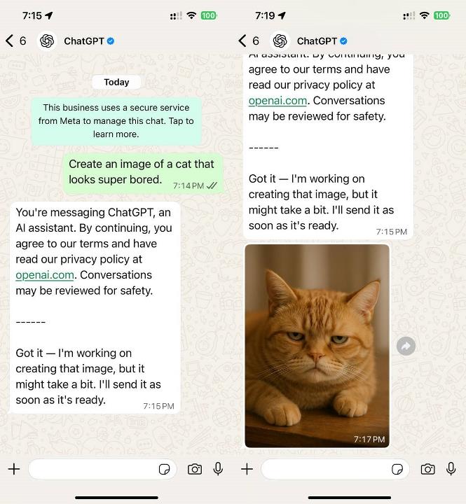 WhatsApp image generation test