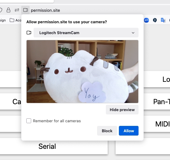 Firefox camera access preview