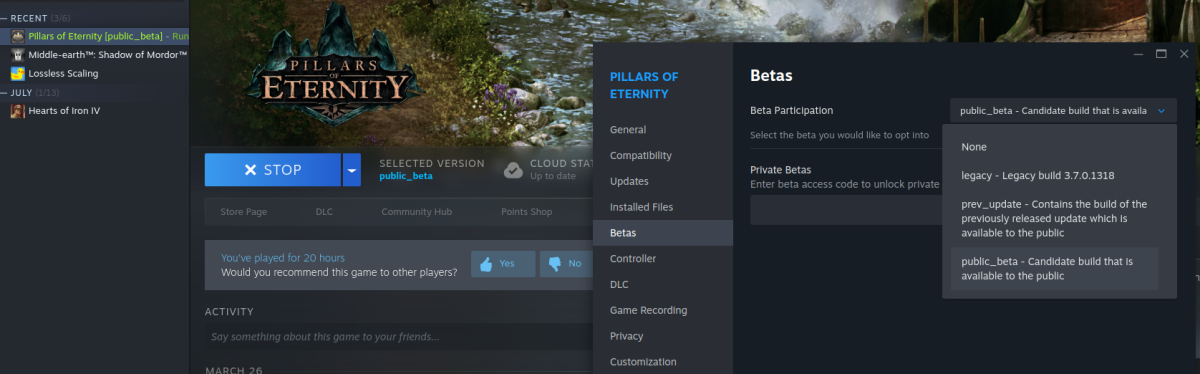 Pillars of Eternity beta steam