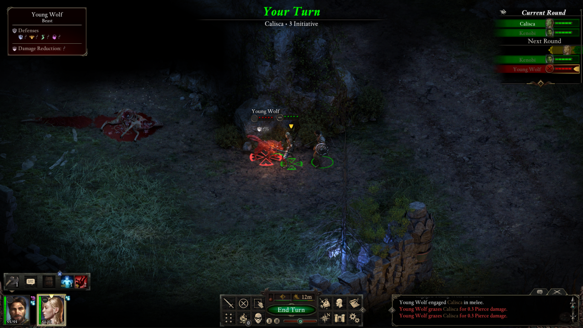 Pillars of Eternity turn-based combat